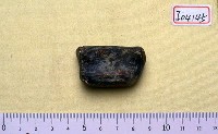 藏品(跟骨)的圖片